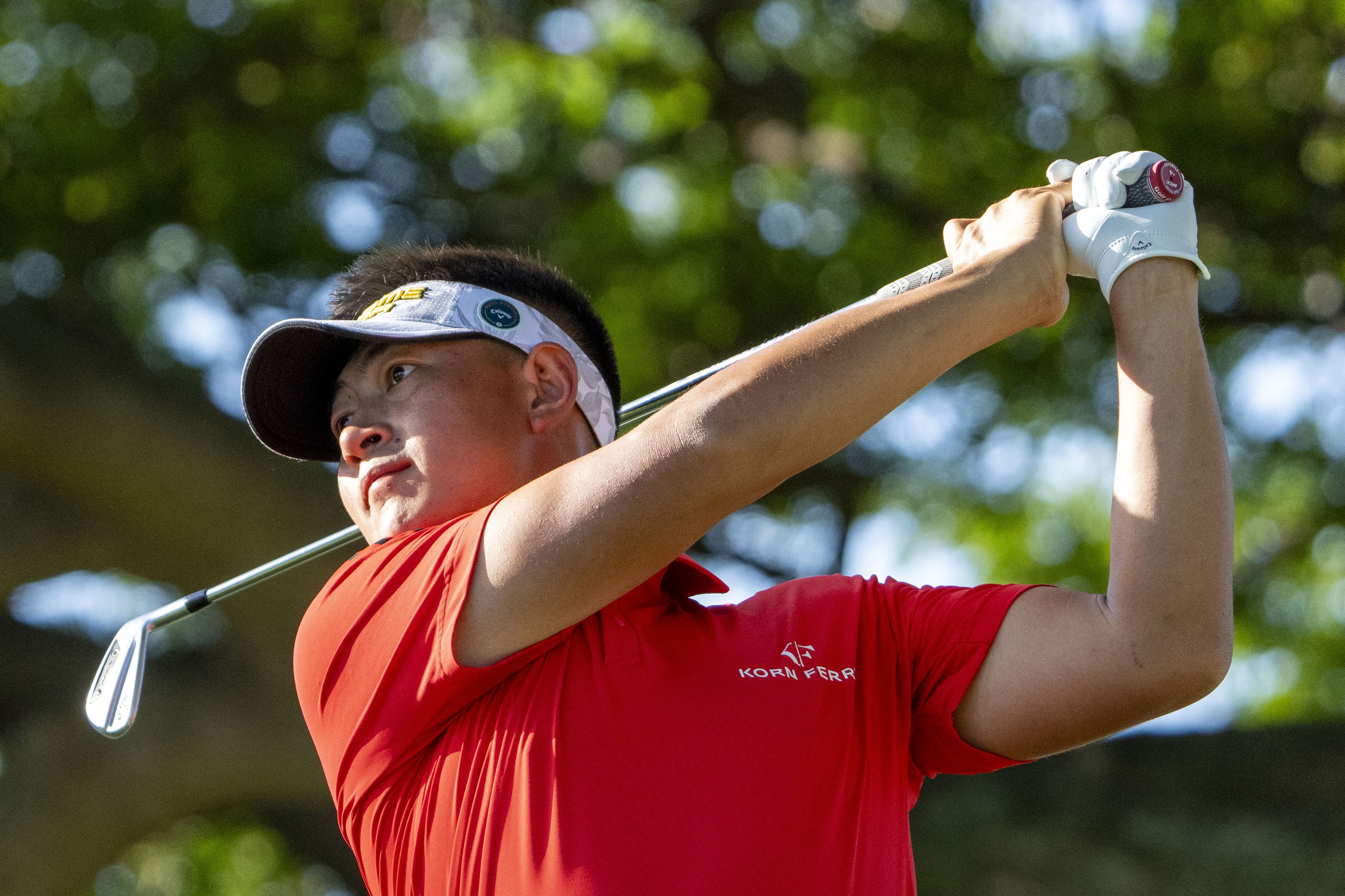 关于高尔夫球员突破自我，表现堪称完美的信息