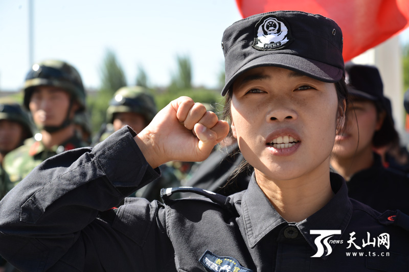 即时盘口队主教练发声，誓言带队登顶的简单介绍