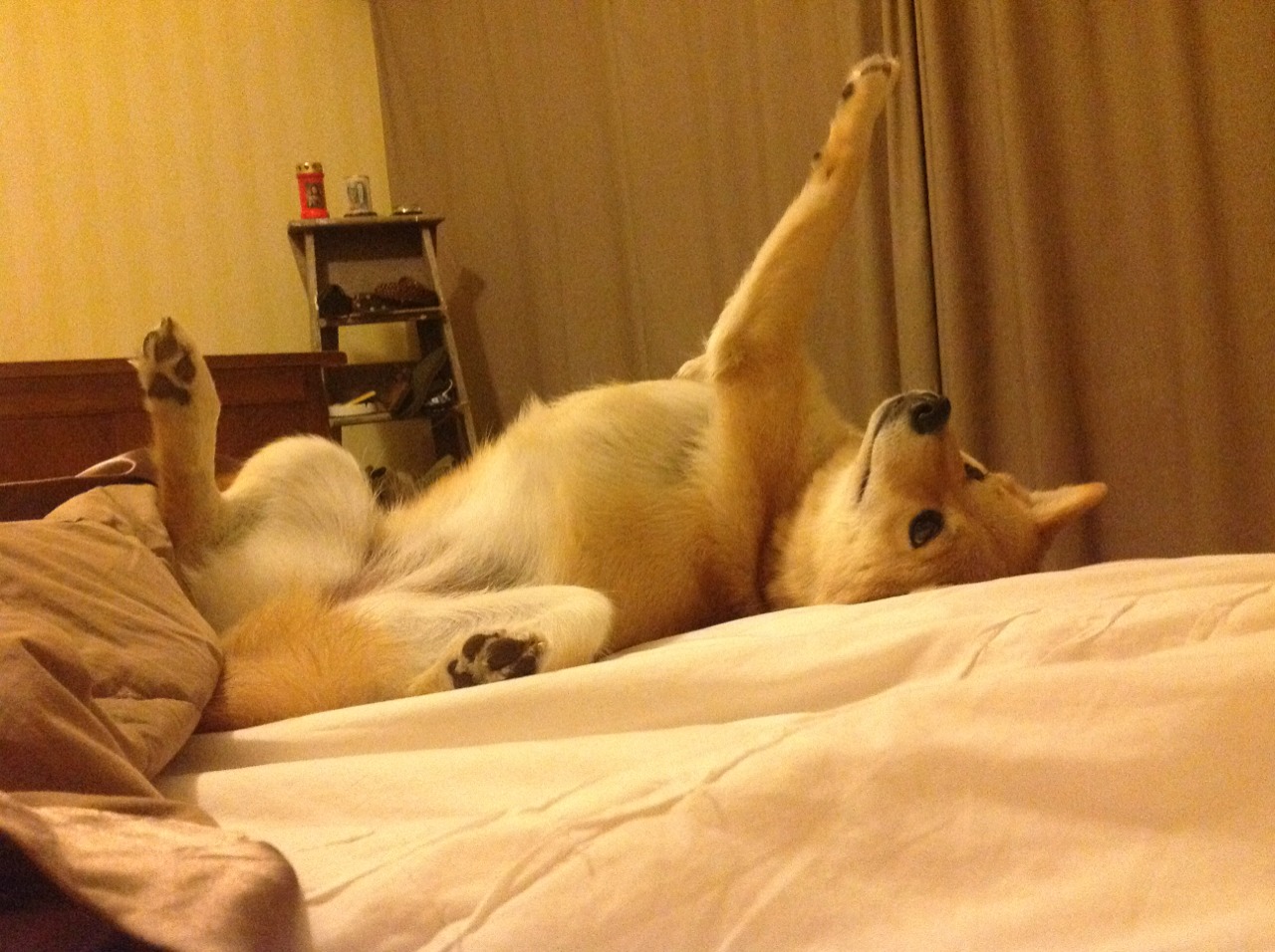 撕裂的球网,交织的轨迹