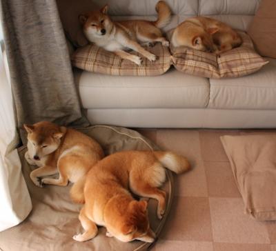 铁血碰撞，奇兵天降—安哥拉高压窒息多特蒙德，帕尔默终成关键先生