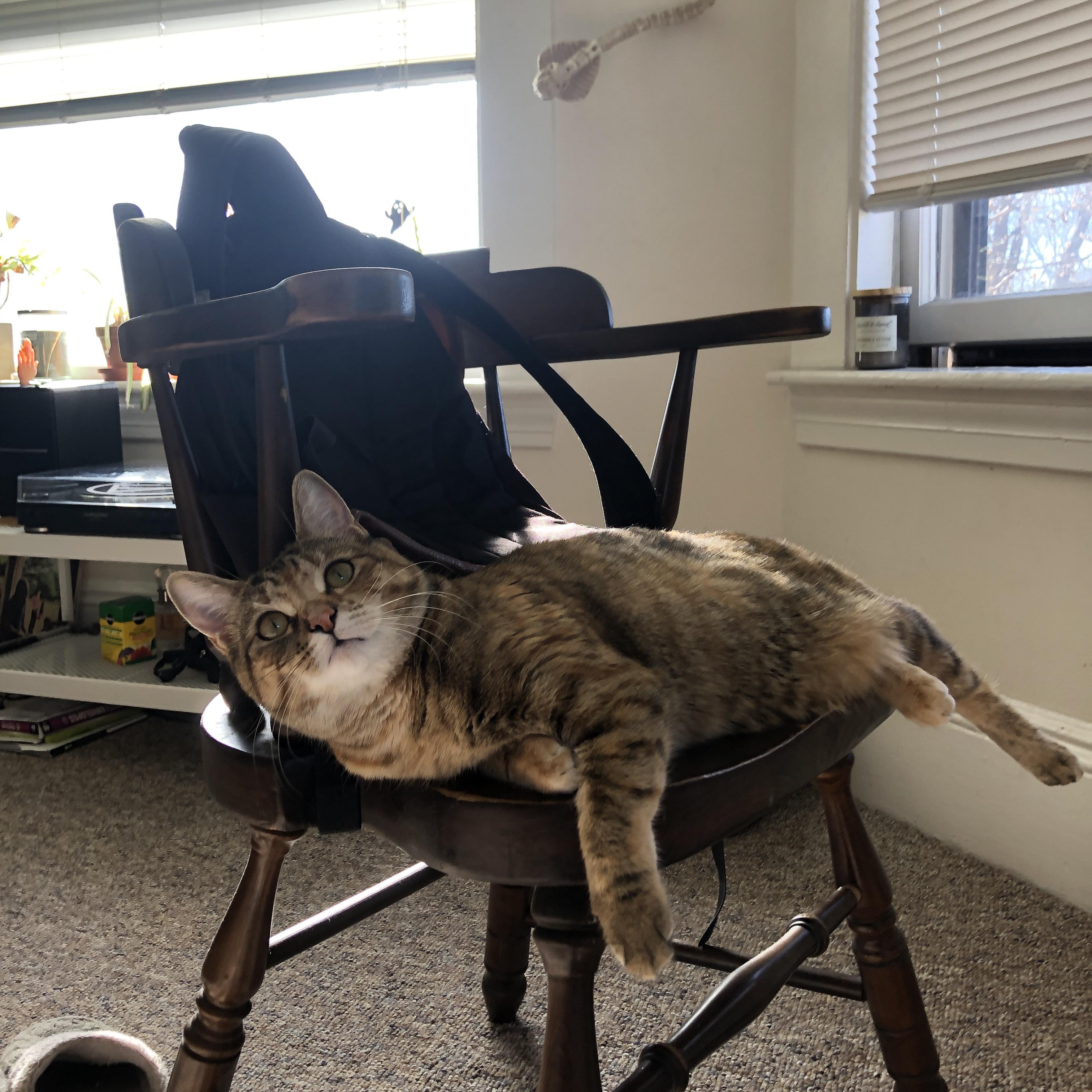 破壁者，当德里赫特的非典型进球，撞碎意甲旧秩序的沉默高墙