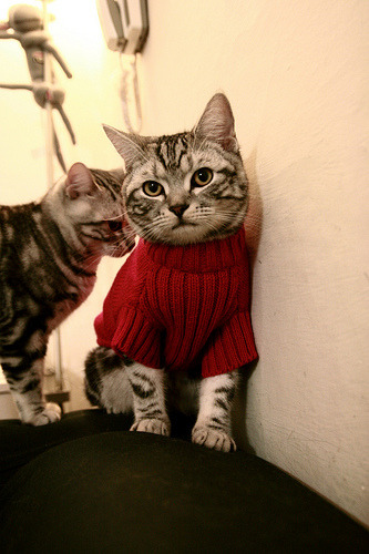 广东制造，当草根铁流淹没NBA星光的夜晚