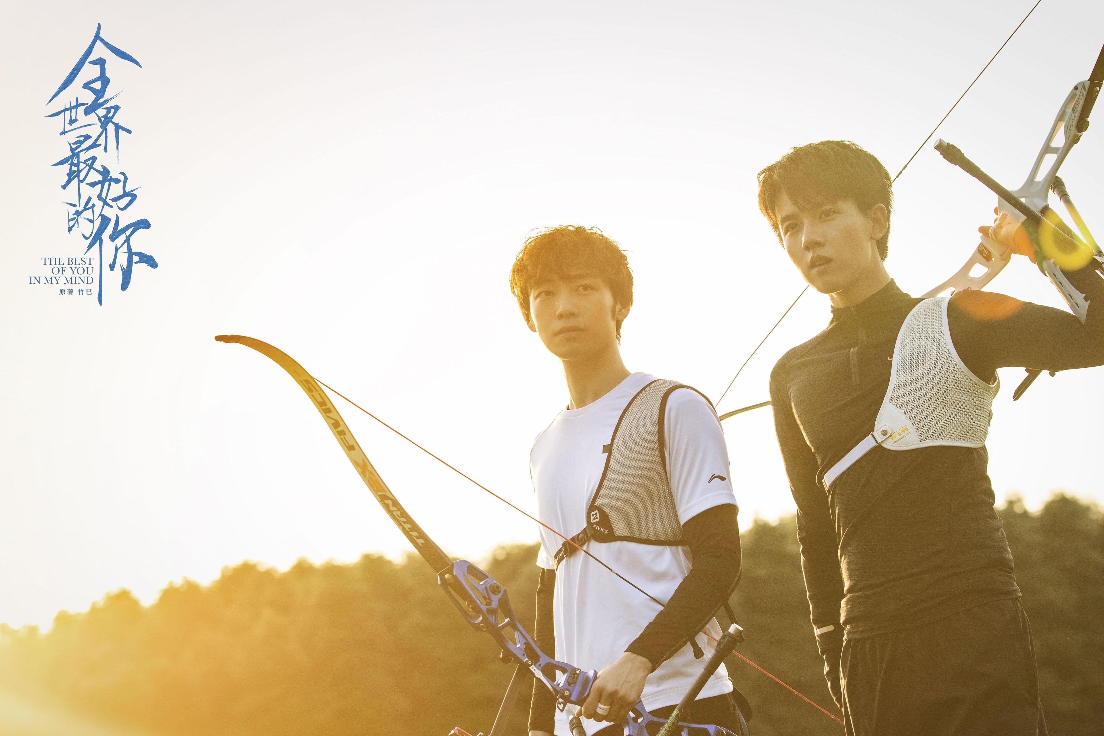 当上帝穿上黑白衫，伊布对阵丹麦的封神之夜