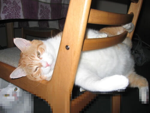 独舞与协奏曲,爱德华兹末节狂飙,湖人轻取快船的背后隐喻