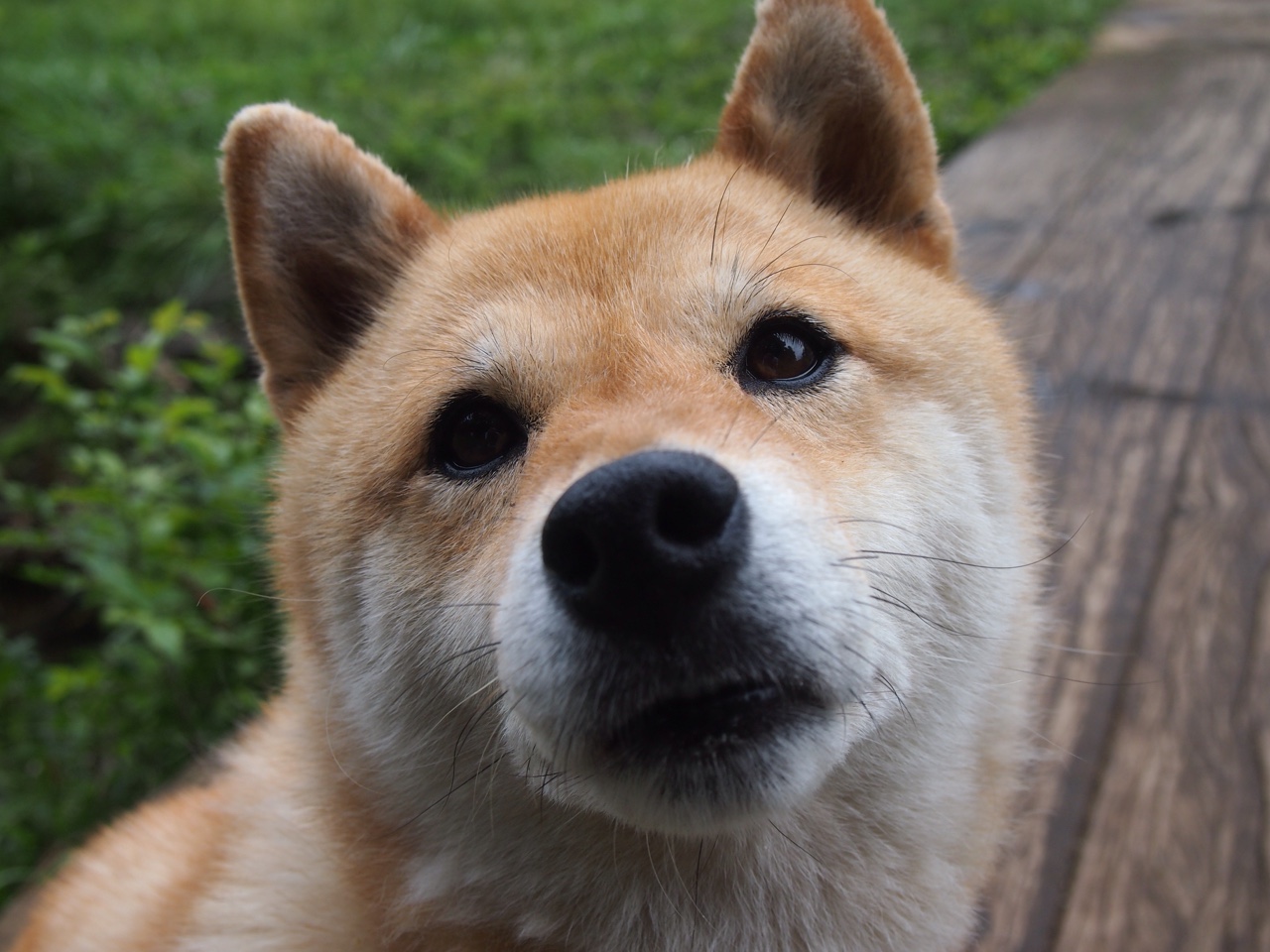 开云体育官网-欧冠决赛之夜，伦纳德隔空交映的超现实高能输出