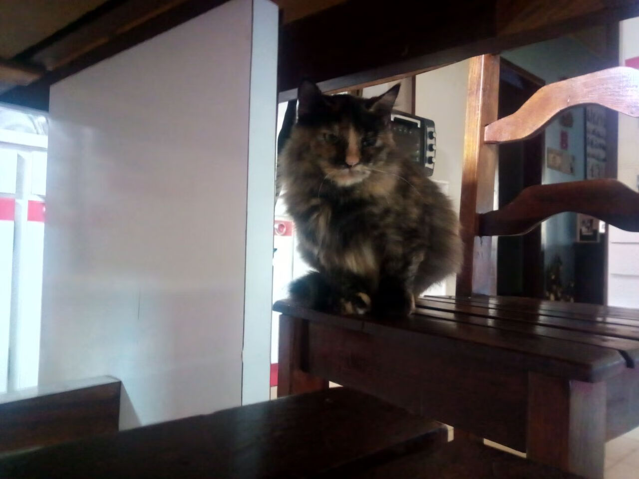 战术冰封，新星引爆，魔术用防守绞索与杰伦·格林的关键重拳击倒凯尔特人