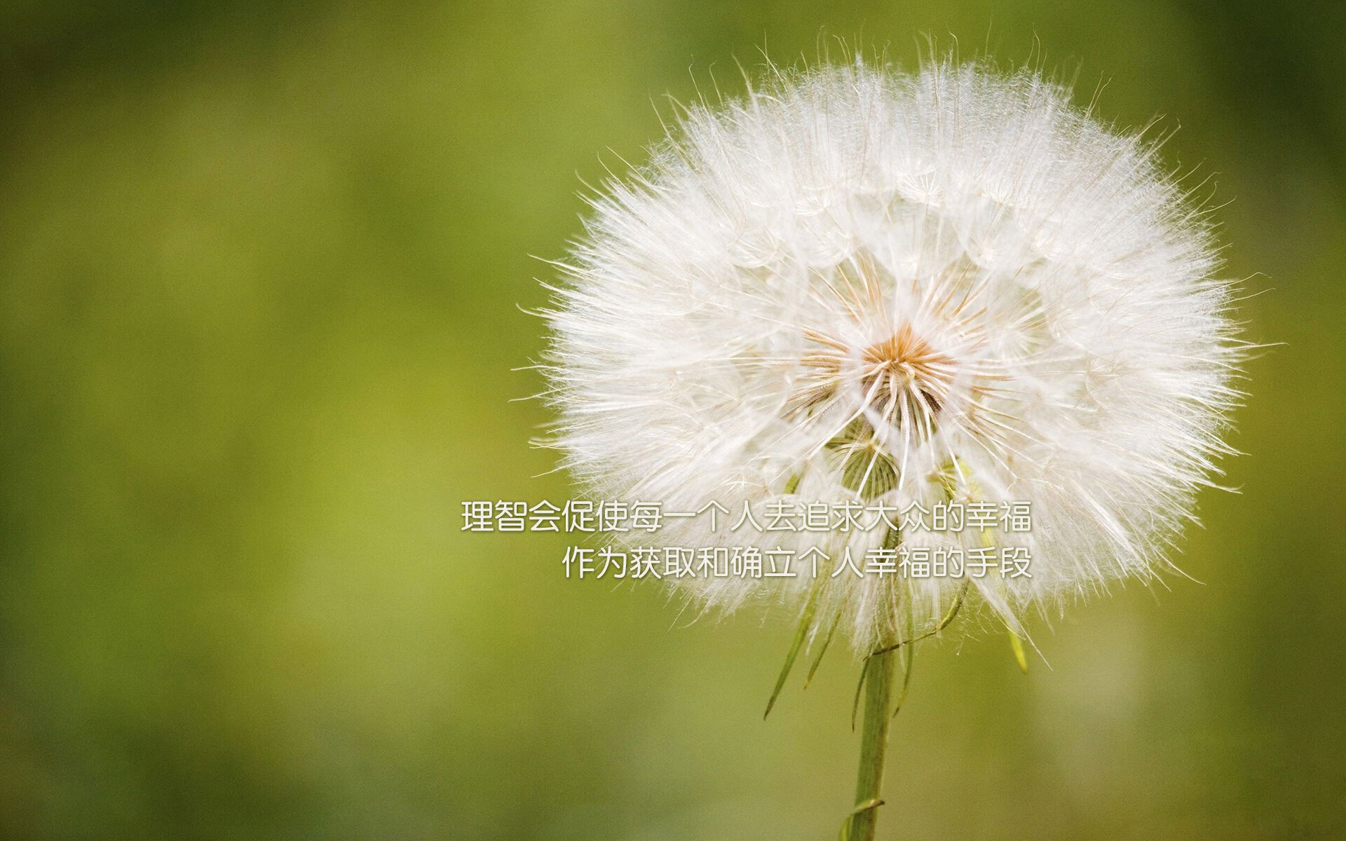 开云体育-冰封航线，当埃及封锁冰岛，蒂亚戈如何成为全球命运的关键先生？