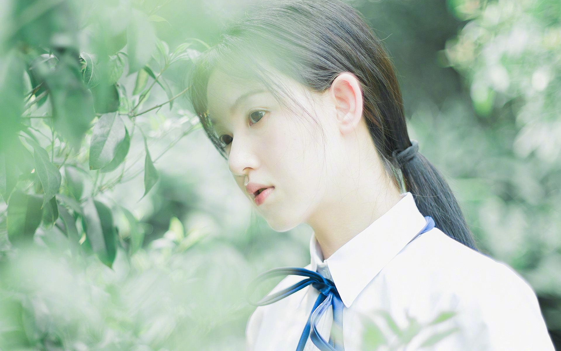 跨界燃烧，当国家德比的呐喊与骑士逆转的咆哮在同一夜晚回响