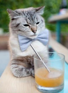 武切维奇单骑破阵如入无人之境，费城军团火力全开狂扫黄蜂