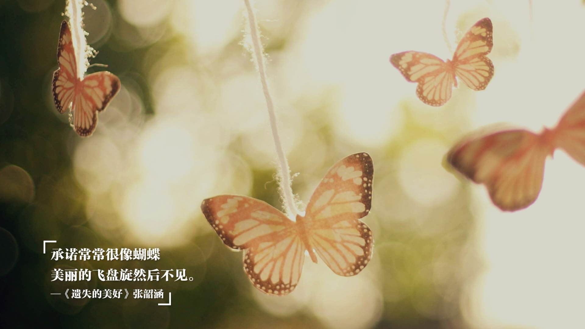 东方对撞西方，广东队梦幻交锋尼克斯，东契奇展现无国界巨星价值