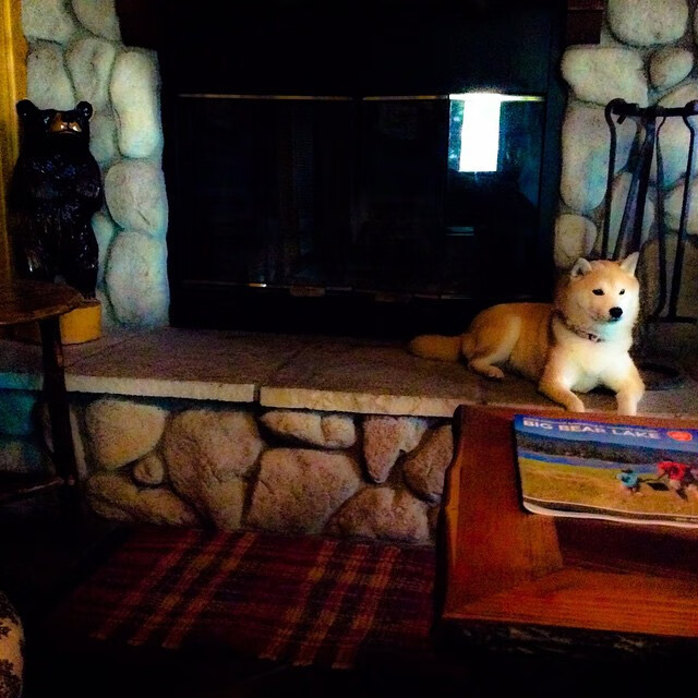 开云体育APP下载-阴影中的猎手，当勇士的狂潮遇上魔术新星的觉醒