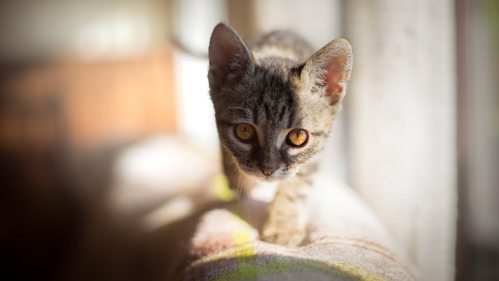 开云体育在线-姆巴佩引爆锋线原子弹，国米精密节奏遭葡萄牙式切割瓦解