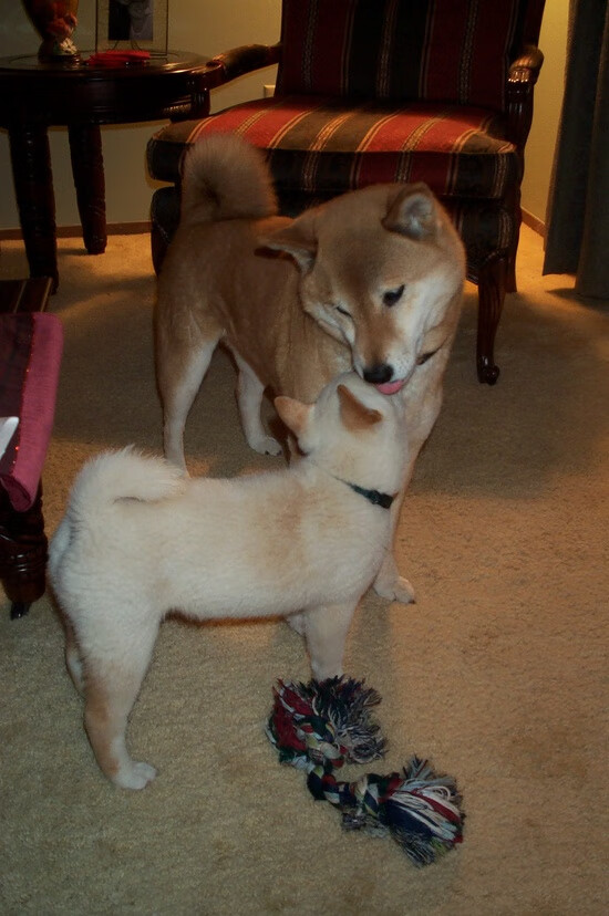 萨拉赫定江山，乌拉圭燃尽最后一颗子弹，足球之夜的双重奏