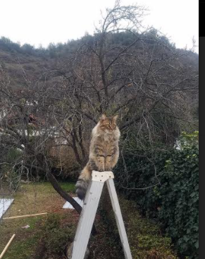 压哨绝杀，刀尖上的救赎，帕尔默那一脚，踢碎了所有质疑与过往