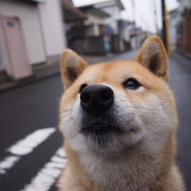 开云体育-奥运利刃出鞘，库里关键战之夜全程高能输出