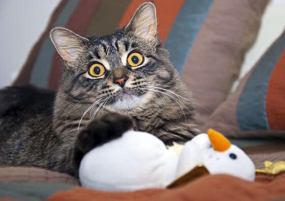 断骨之战，奇才逆天改命，字母哥末节18分凿穿掘金高原