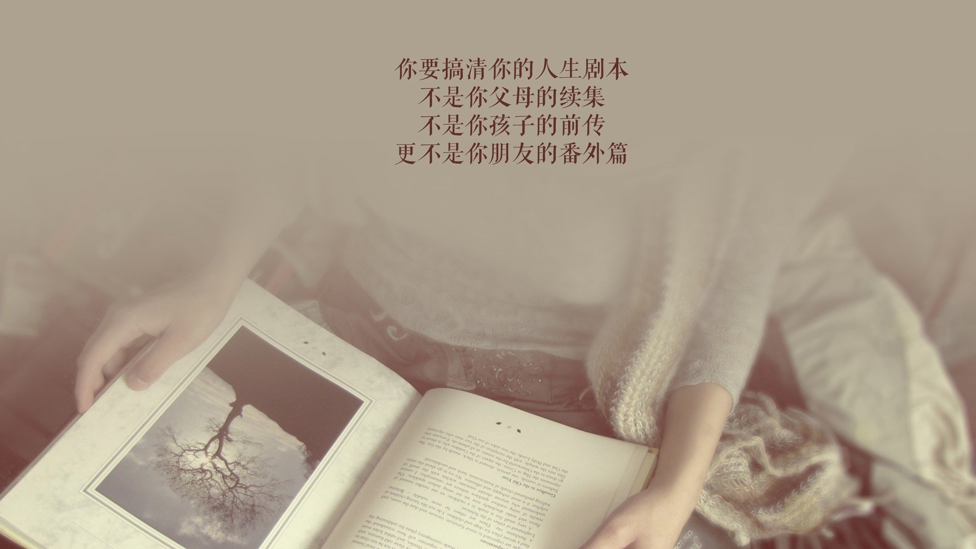 亚非独苗的巅峰对决,2026世界杯决赛,澳大利亚碾压尼日利亚,B费献上致命一击