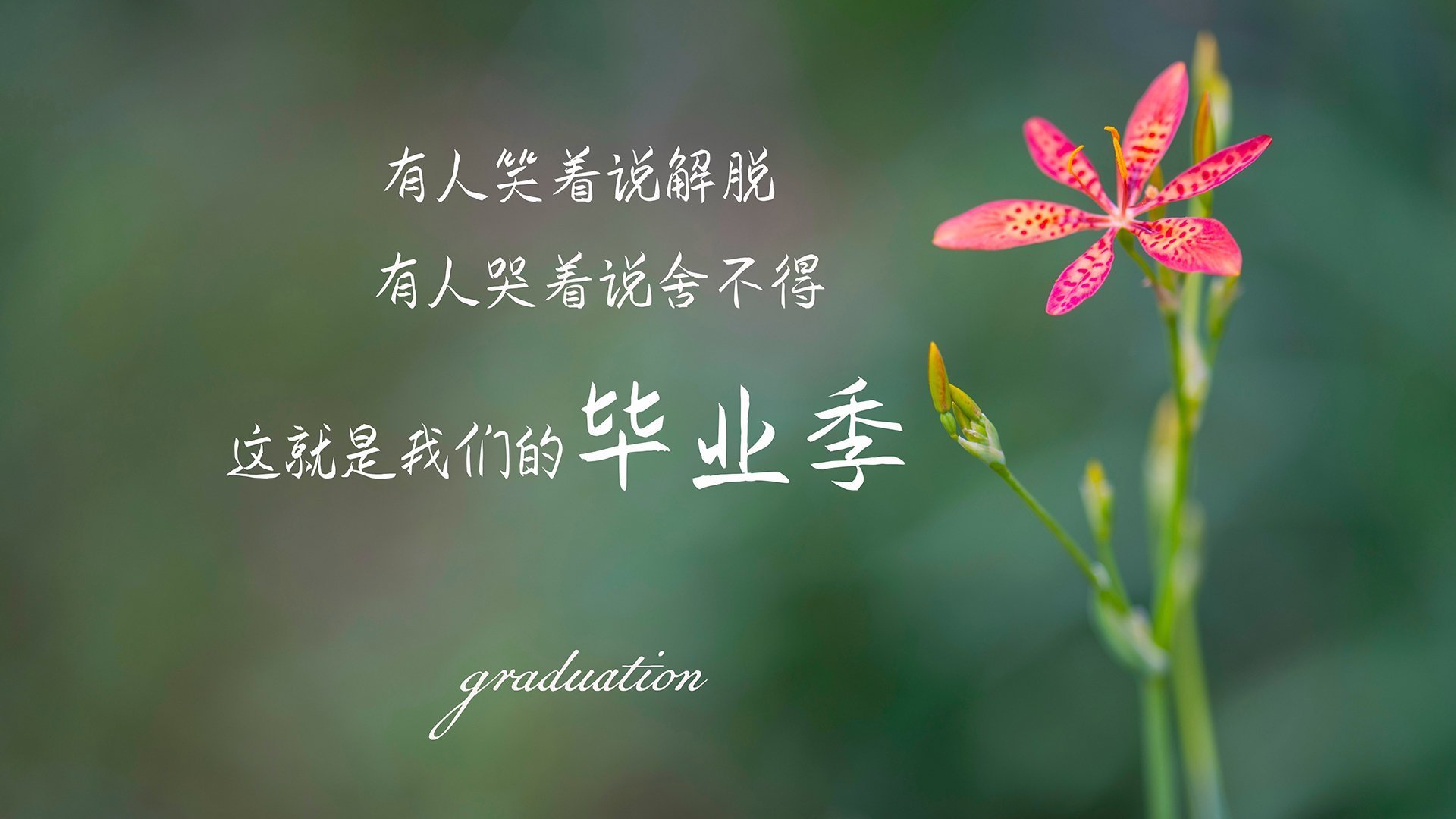 开云体育平台APP-2026世界杯C组，智利铁血反击险胜越南，穆西亚拉星光独耀死亡之组的唯一破局者