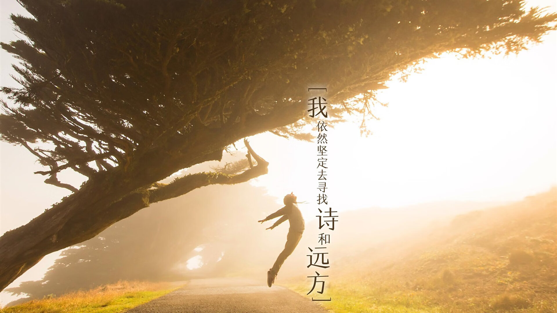 绝境中的华丽转身,2026世界杯F组,西班牙用流畅攻守转换完成对乌拉圭的逆转,维尼修斯化身关键先生