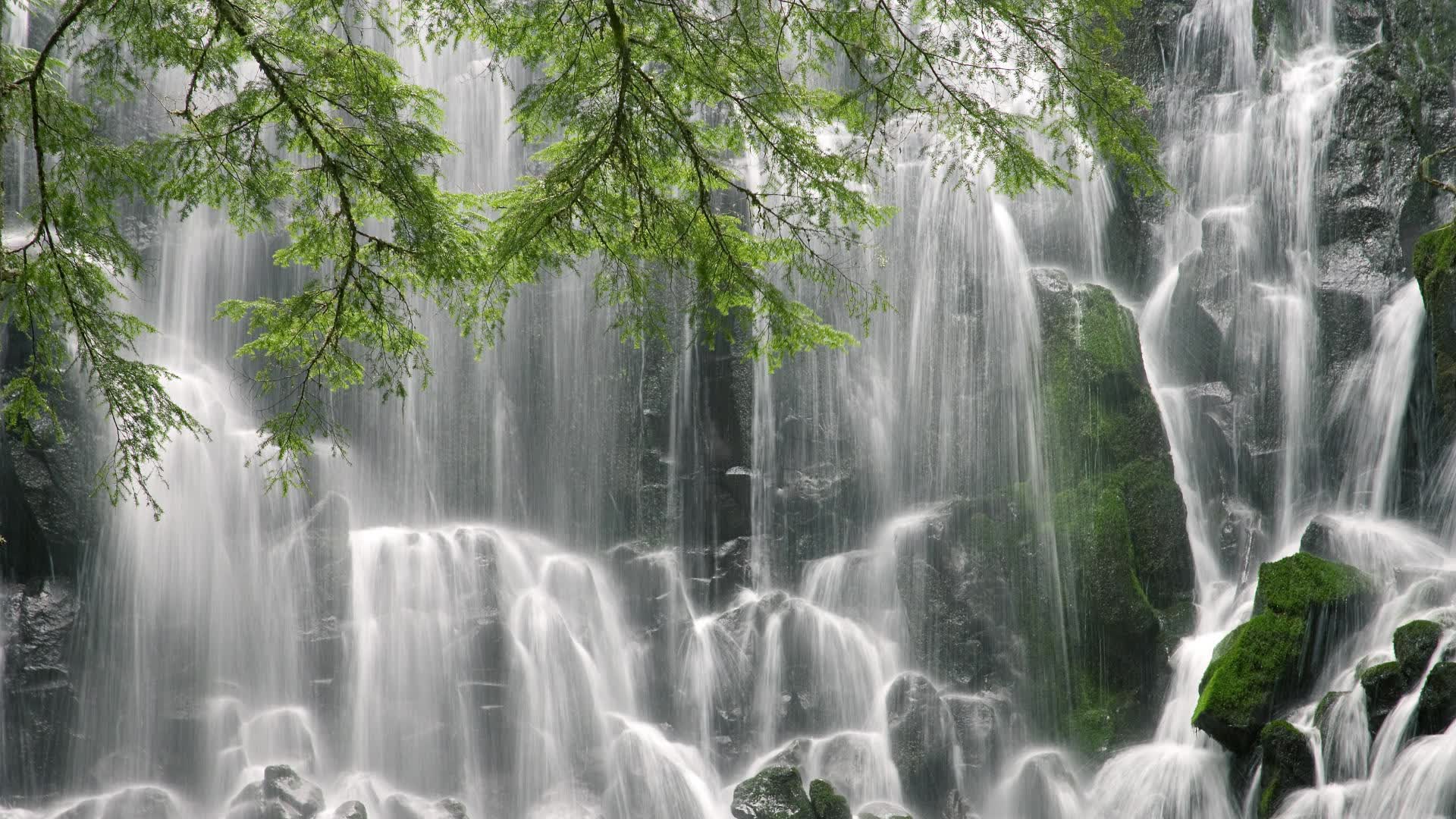 当时间的褶皱在2026年抚平，库尔图瓦如何用十指关为世界足坛写下唯一的神谕